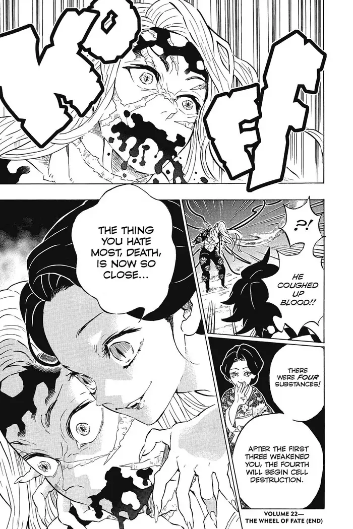 Demon Slayer Chapter 196 image 19_optimized